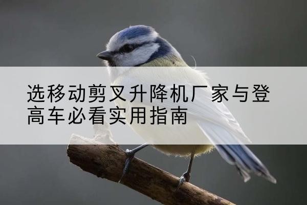 同仁电动升降机厂家-选移动剪叉升降机厂家与登高车必看实用指南