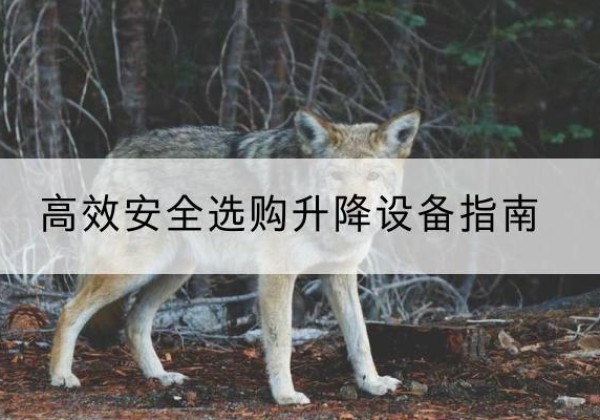 同仁升降货梯厂家推荐-*安全选购升降设备指南