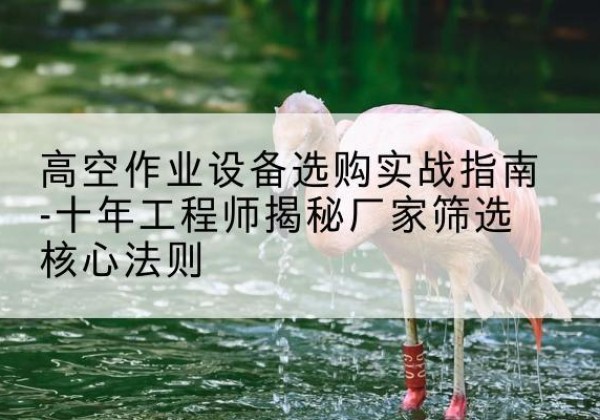 同仁剪叉式升降机厂家-高空作业设备选购实战指南-十年工程师揭秘厂家筛选核心法则